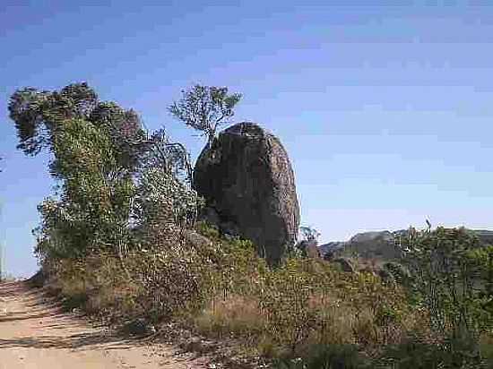 SILVEIRAS-SP-NATUREZA EM SILVEIRAS-FOTO:ALFGFAL - SILVEIRAS - SP
