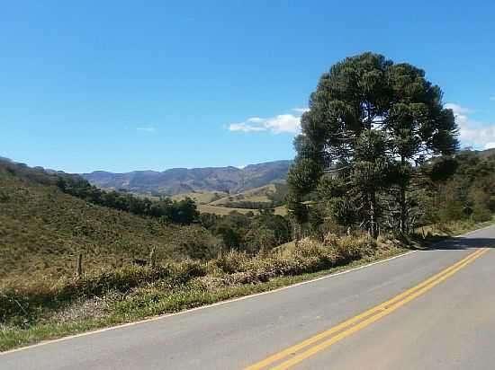SILVEIRAS-SP-RODOVIA E A SERRA AO FUNDO-FOTO:JOSE ADAL PEREIRA DE - SILVEIRAS - SP