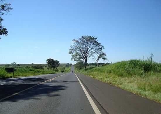 RODOVIA EUCLIDES DA CUNHA-FOTO:PARISIENSE  - SIMONSEN - SP