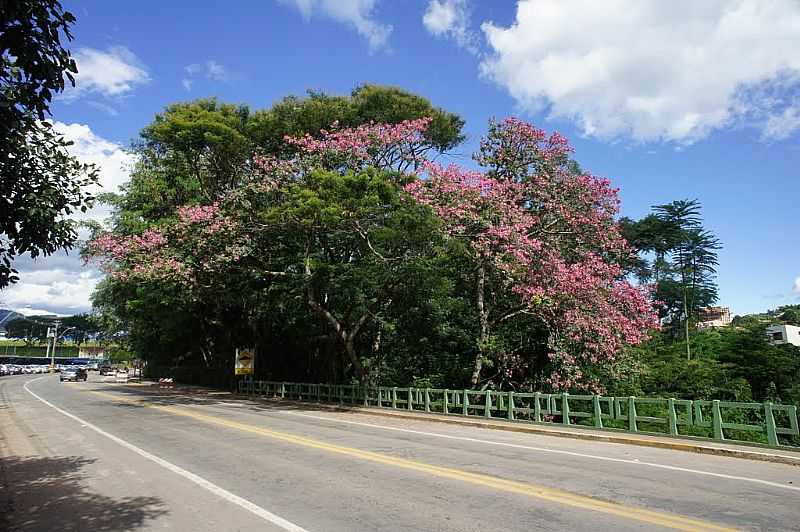 SOCORRO-SP-PONTE SOBRE O RIO DO PEIXE-FOTO:ERNANDES C SANTOS - SOCORRO - SP