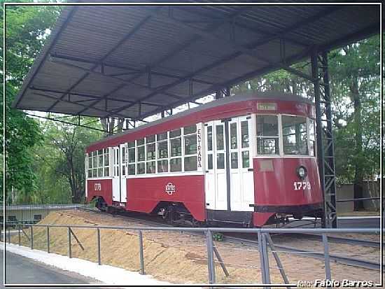 SOROCABA-SP-BONDINHO NO ZOOLGICO QUINZINHO DE BARROS-FOTO:FBIO BARROS - SOROCABA - SP