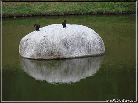 SOROCABA-SP-PATOS E PEDRA NO LAGO DO PARQUE CAMPOLIM-FOTO:FBIO BARROS - SOROCABA - SP