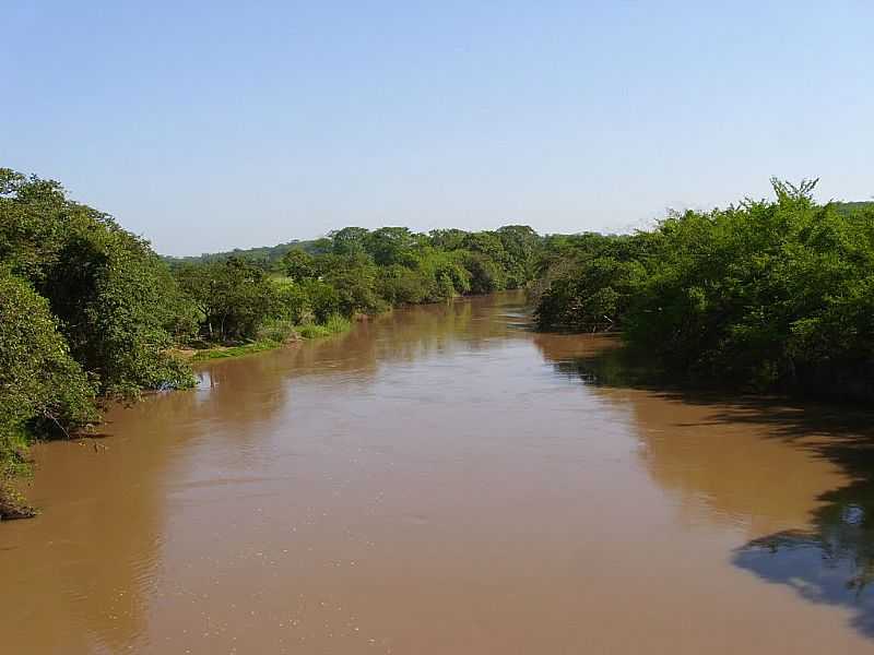 SUINANA-SP-RIO TURVO-FOTO:AMAURI JOS GRANZOTTO - SUINANA - SP