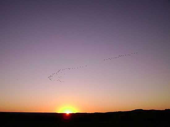 PR DO SOL EM RIBEIRA DO POMBAL-BA-FOTO:ANTONIO CARLOS BURIT - RIBEIRA DO POMBAL - BA