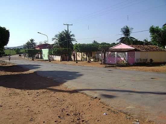 RIBEIRA DO POMBAL-BA-POVOADO NOVA ESPERANA-FOTO:GLUCIO ALMEIDA - RIBEIRA DO POMBAL - BA