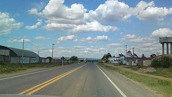 RODOVIA CRUZANDO A CIDADE DE RIBEIRA DO POMBAL-BA-FOTO:ANDRE L. S. LACERDA - RIBEIRA DO POMBAL - BA