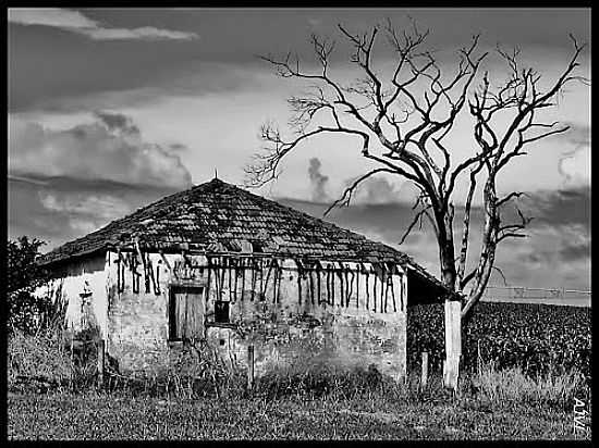 ANTIGA CASA EM REA RURAL DE SUMAR-SP-FOTO:ANTONIOJVIDAL - SUMAR - SP