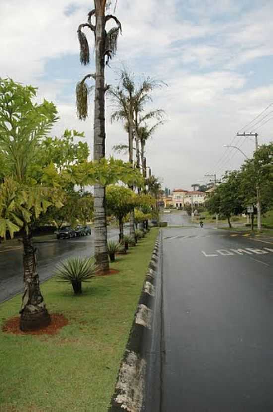 AV.DAS PALMEIRAS NA VILA FLORA EM SUMAR-SP-FOTO:L.M.SIQUEIRA - SUMAR - SP