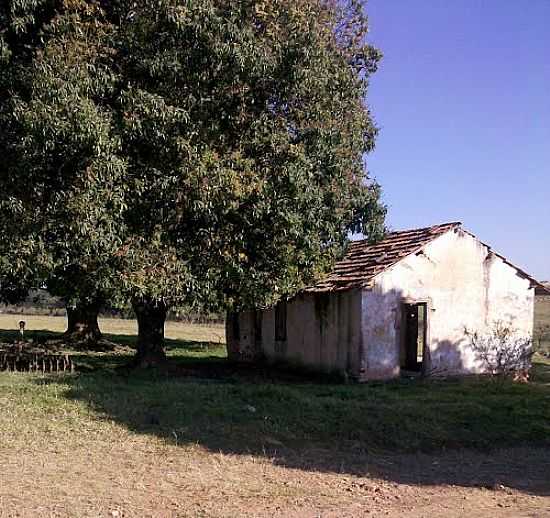 IMAGEM DE REA RURAL DE SUMAR-SP-FOTO:MMEDINABR - SUMAR - SP