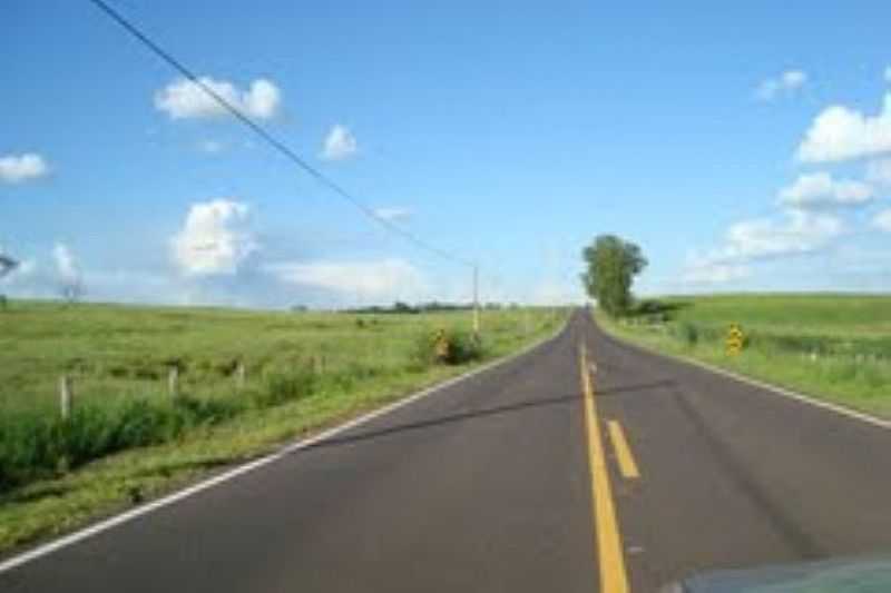 IMAGENS DA LOCALIDADE DE TABAJARA - SP - ESTRADA  DA CIDADE  DE LAVINIA   X  DISTRIDO DE TABAJARA, POR POETA=VALMIR  DOS  SANTOS -CIDADE-LAVINIA-EST-SP - TABAJARA - SP