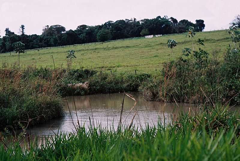 TABATINGA-SP-LAGOA NA BEIRA DA ESTRADA-FOTO:PRADO-BR2 - TABATINGA - SP