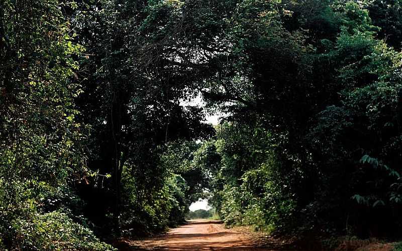 TABATINGA-SP-TNEL VERDE-FOTO:PRADO-BR2 - TABATINGA - SP
