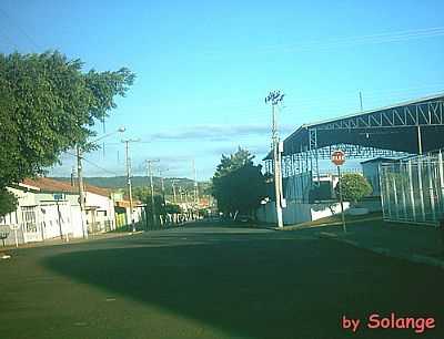 TAGUA POR SOLANGE GOMES - TAGUA - SP