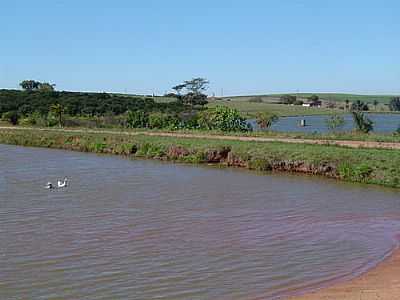 LAGOA POR MARCIOBERGA - TAIVA - SP