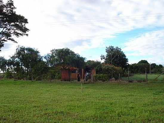 REA RURAL-FOTO:MANOEL MESSIAS DE SO - TALHADO - SP