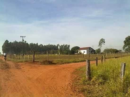 REA RURAL-FOTO:MATHEUS CAL  - TALHADO - SP