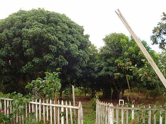 CHCARA-FOTO:MANOEL MESSIAS DE SO - TALHADO - SP