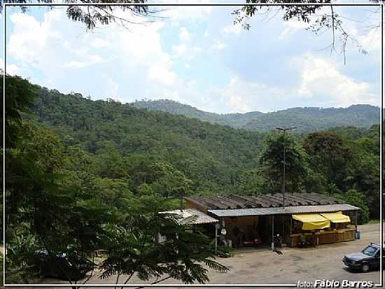 TAPERA-SP-CABEA DA ANTA-SERRA DE TAPERA-FOTO:FBIO BARROS - TAPIRA - SP