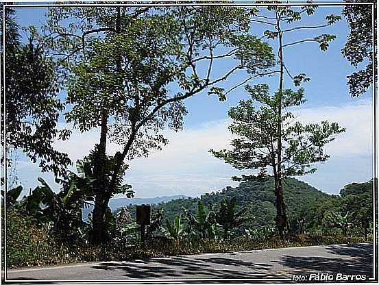 TAPERA-SP-SERRA DE TAPERA-FOTO:FBIO BARROS  - TAPIRA - SP