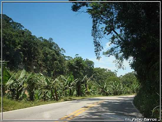 TAPERA-SP-SERRA DE TAPERA-FOTO:FBIO BARROS - TAPIRA - SP