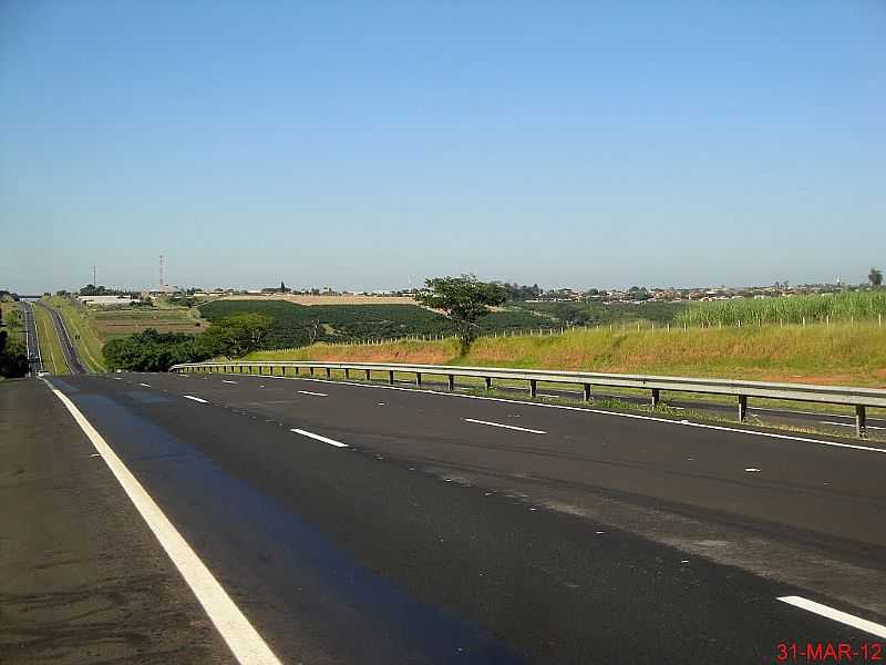 TAQUARAL-SP-CHEGANDO PELA RODOVIA SP-326-BRIGADEIRO FARIA LIMA-FOTO:MARCO AURLIO ESPARZA  - TAQUARAL - SP