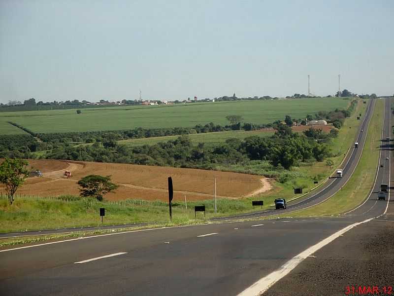 TAQUARAL-SP-CHEGANDO PELA RODOVIA SP-326-BRIGADEIRO FARIA LIMA-FOTO:MARCO AURLIO ESPARZA - TAQUARAL - SP