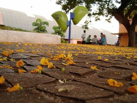 PRAA JOO CLMACO-FOTO:FELIPE KATSUMATA - TAQUARITUBA - SP