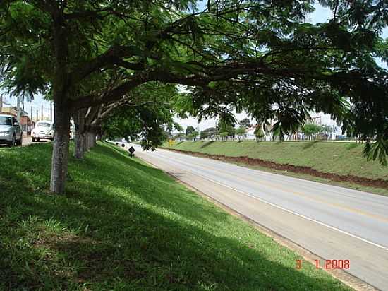 RODOVIA FRANCISCO ALVES NEGO-FOTO:BALVES14  - TAQUARIVA - SP