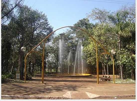 BOSQUE-FOTO:DAIANA FIDELIS  - TARUM - SP