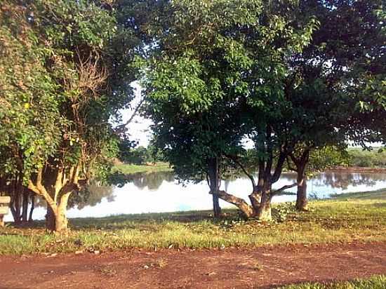 BOSQUE-RIO TARUM-FOTO:FELIPPE WILLIAN  - TARUM - SP