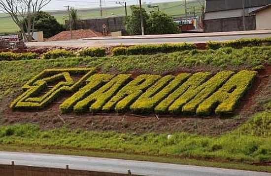 ENTRADA DA CIDADE-FOTO:DAIANA FIDELIS  - TARUM - SP