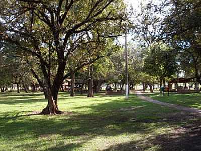 BOSQUE POR JDUCATTI - TERMAS DE IBIR - SP