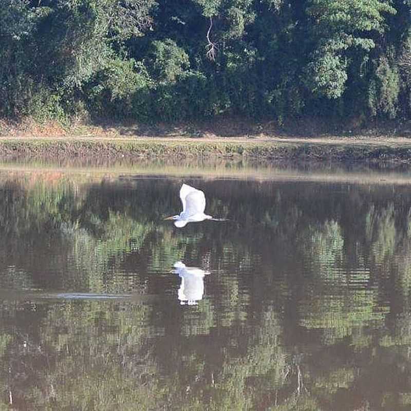 IMAGENS DA CIDADE DE TUIUTI - SP - TUIUTI - SP