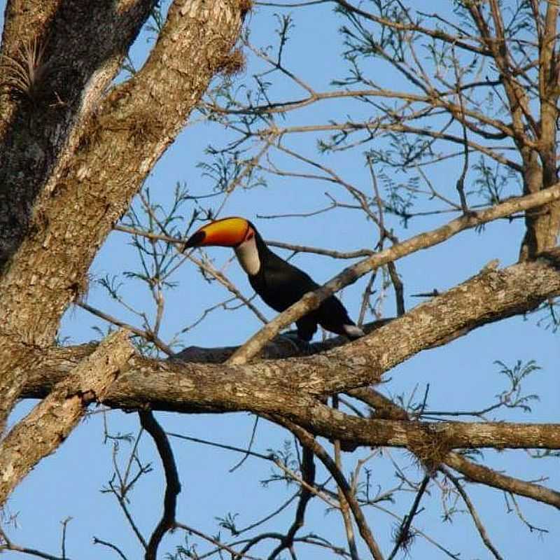 IMAGENS DA CIDADE DE TUIUTI - SP - TUIUTI - SP