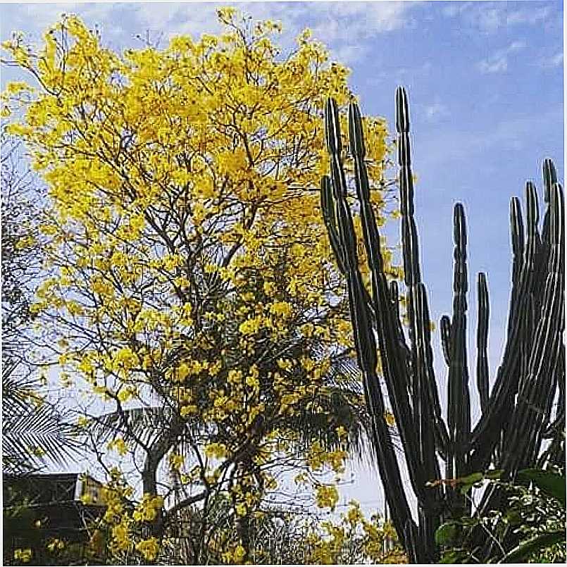 IMAGENS DA CIDADE DE TUIUTI - SP - TUIUTI - SP