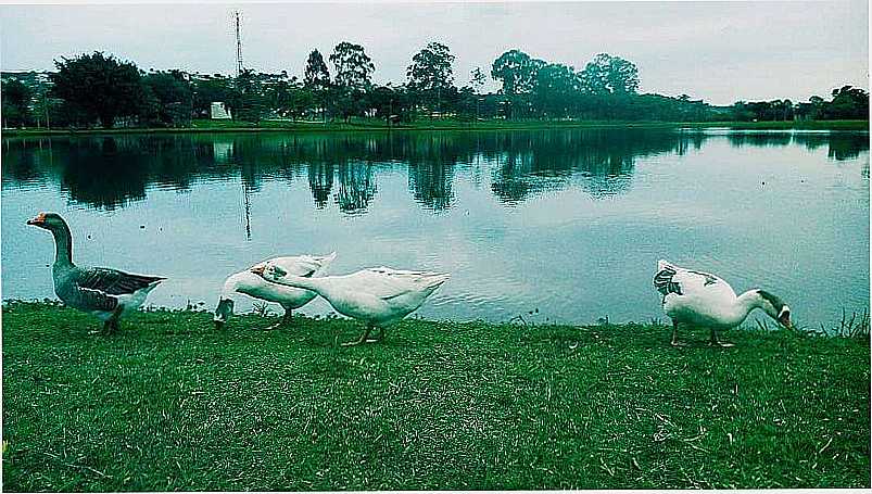 IMAGENS DA CIDADE DE TUIUTI - SP - TUIUTI - SP