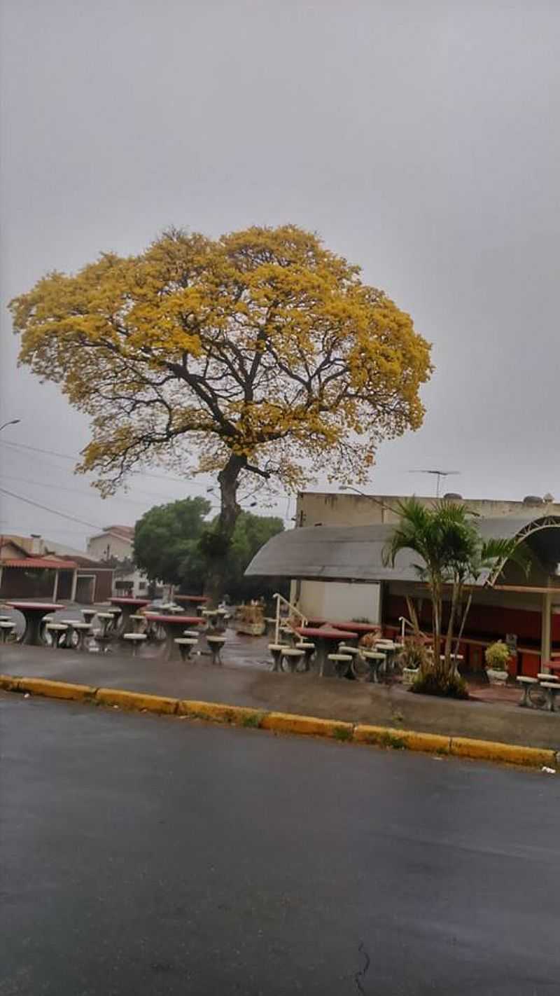 IMAGENS DA CIDADE DE TUP - SP - TUP - SP