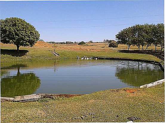 TUP-SP-REPRESA-FOTO:THESANTO  - TUP - SP