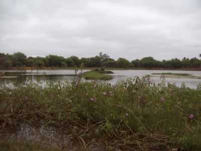 LAGOA DO CUNHA, POR SILVANO LIMA - RIO DO ANTNIO - BA