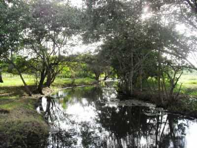 POO DAS INGAZEIRAS, POR SILVANO LIMA - RIO DO ANTNIO - BA