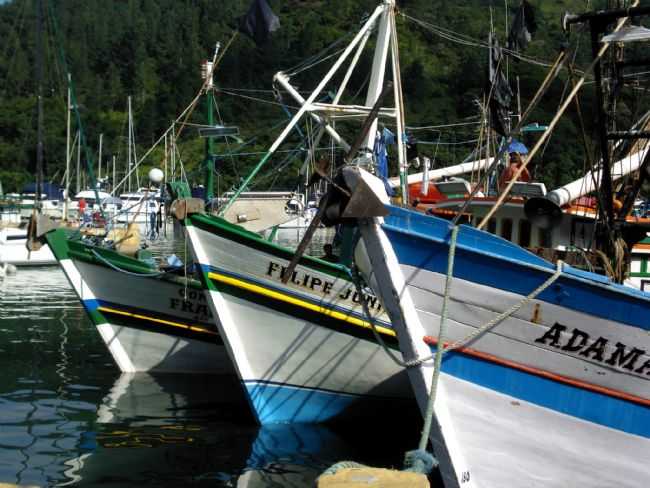 PER SACO DA RIBEIRA, POR MARCIO ROVER - UBATUBA - SP