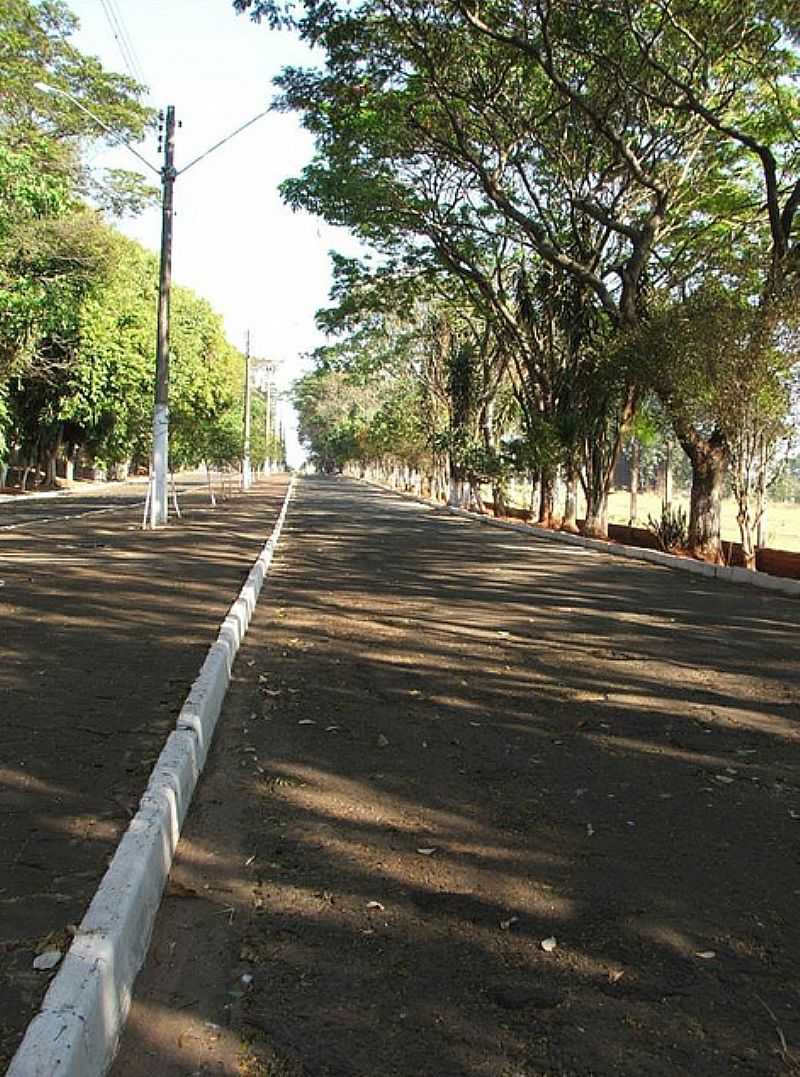 UCHOA-SP-AVENIDA PRINCIPAL-FOTO:UCHOASP.COM.BR - UCHOA - SP