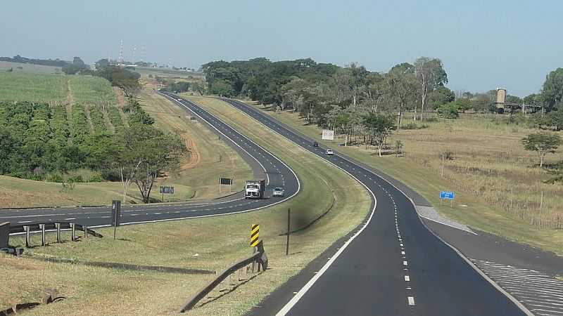 UCHA-SP-RODOVIA WASHINGTON LUIZ-FOTO:UCHOASP.COM.BR - UCHOA - SP