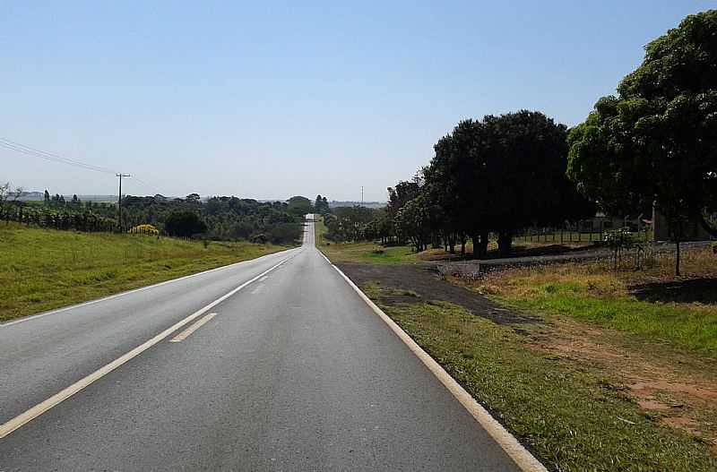 UCHOA-SP-RODOVIA WASHINGTON LUIZ-FOTO:UCHOASP.COM.BR  - UCHOA - SP