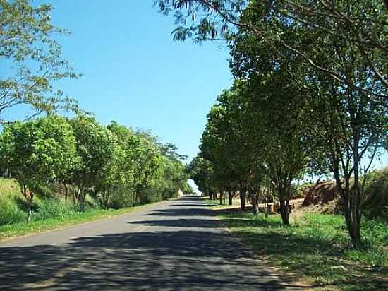 ENTRADA DE VALE FORMOSO-FOTO:EUFRASIO  - VALE FORMOSO - SP