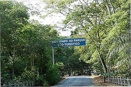 ESTRADA DO PARQUE ECO-TURSTICO EM VALENTIM GENTIL-SP - VALENTIM GENTIL - SP