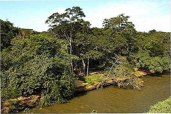 RIO NO PARQUE ECO-TURSTICO EM VALENTIM GENTIL-SP - VALENTIM GENTIL - SP