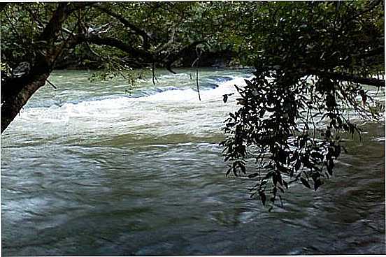 RIO NO PARQUE ECO-TURSTICO EM VALENTIM GENTIL-SP - VALENTIM GENTIL - SP