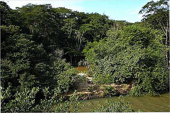 RIO NO PARQUE ECO-TURSTICO EM VALENTIM GENTIL-SP - VALENTIM GENTIL - SP
