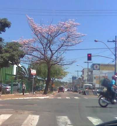 CRUZAMENTO AV. DOS ESPORTES COM AV. ONZE DE AGOSTO, POR DOLORES - VALINHOS - SP